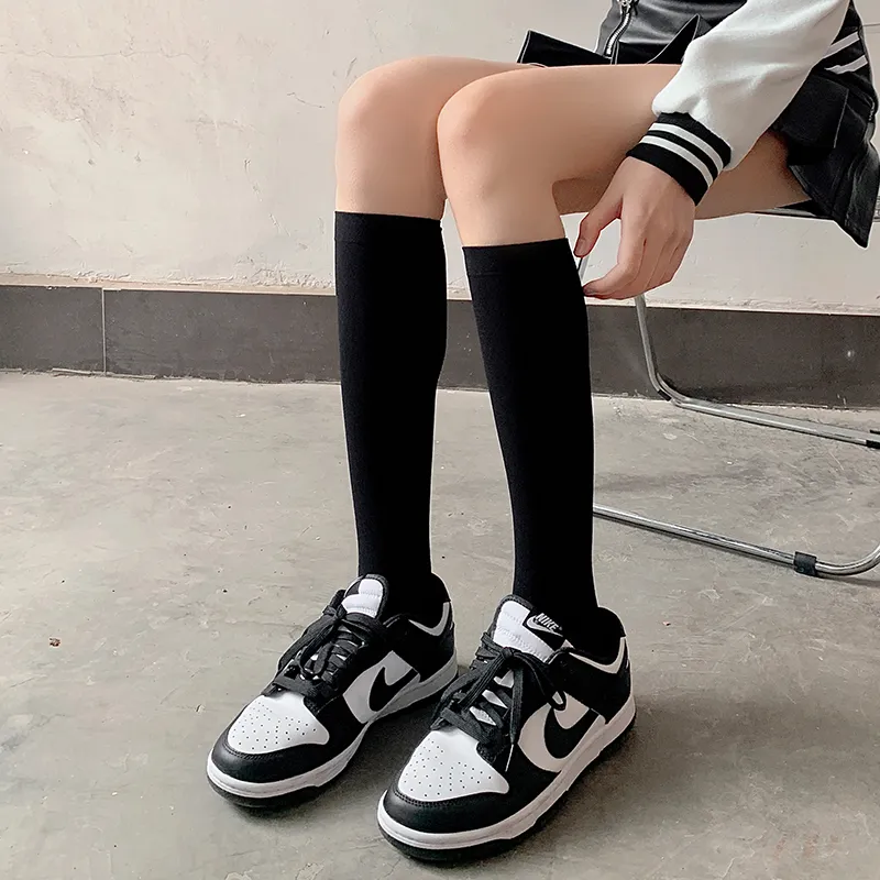 Evening Classroom Mid Calf Socks Women's 10 Pack-12