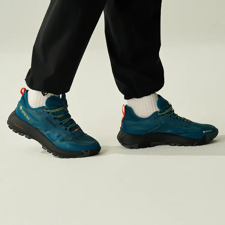 Reebok Dmx Trail GORE TEX 'Escape Blue'-5