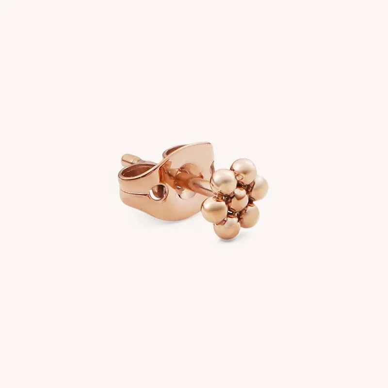 Daniel Wellington Alloy Stud Earrings Women's-1