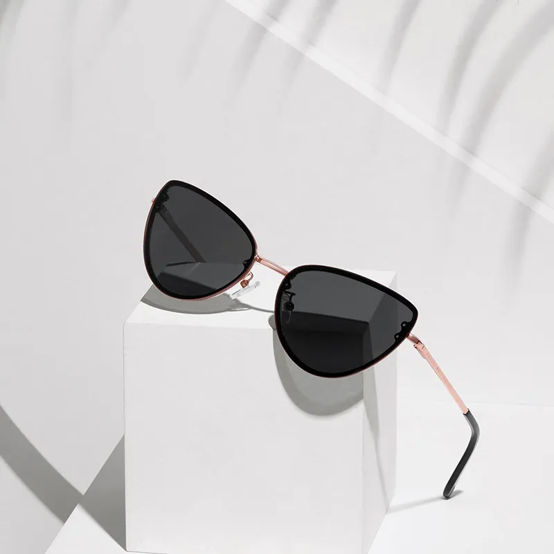 Daniel Wellington Stainless Steel Cat Eye Sunglasses Women's-1