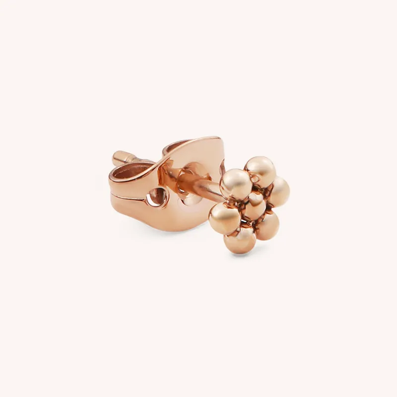 Daniel Wellington Alloy Stud Earrings Women's-1