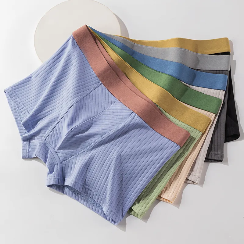 Urban Beauty Underpants Men's Box 3 Pack-32