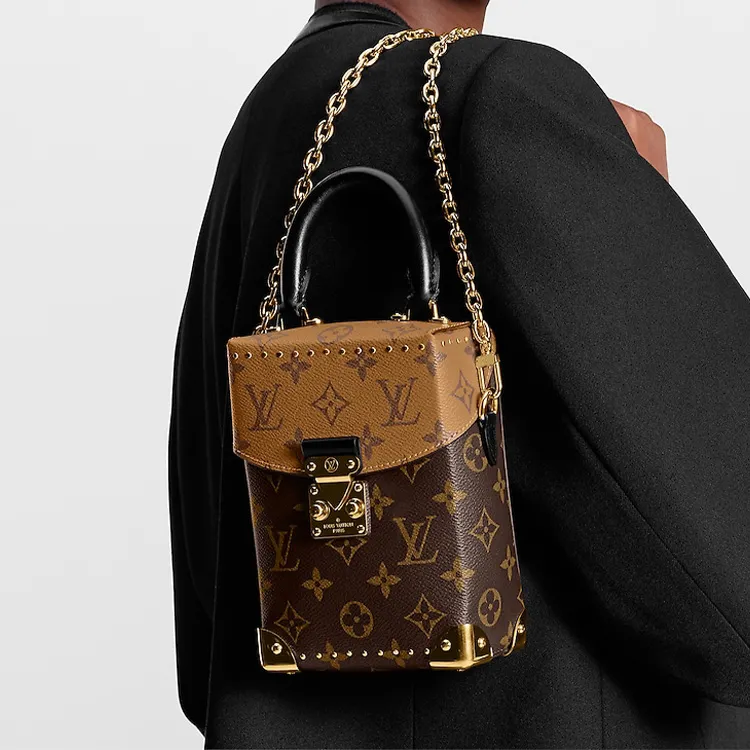 LOUIS VUITTON Camera Box Monogram Reverse-5
