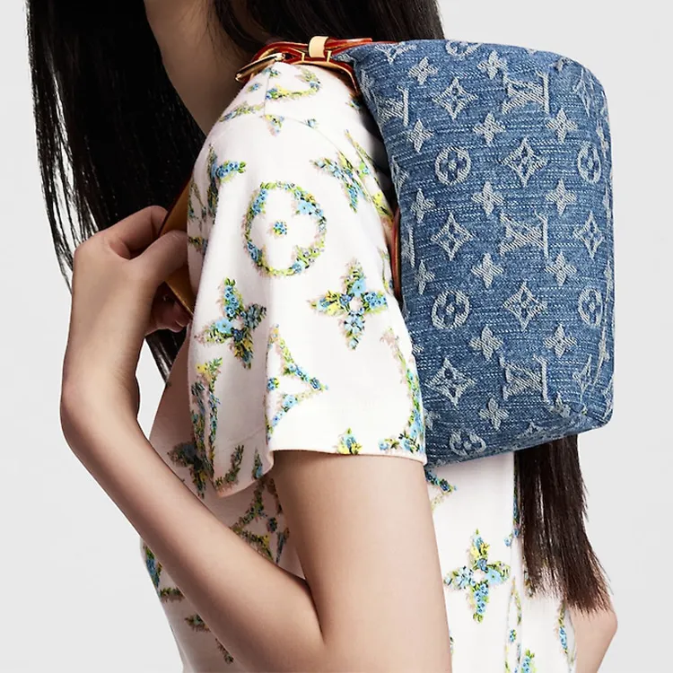 LOUIS VUITTON Hills Pochette-9