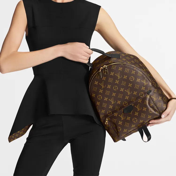 LOUIS VUITTON Palm Springs Monogram Updated Zipper Mm-9