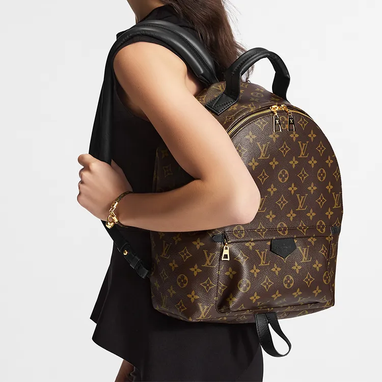 LOUIS VUITTON Palm Springs Monogram Updated Zipper Mm-7