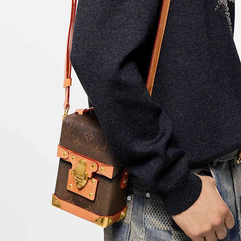 LOUIS VUITTON Soul Trunk Vertical Monogram Dust-5