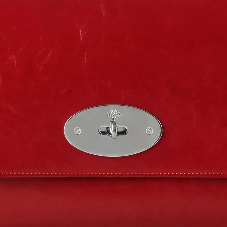 Mulberry Medium Lily Chain-link Shoulder Bag-4