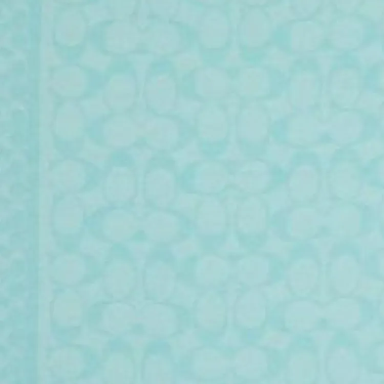 COACH Cotton Knit Scarves Women's Blue-1