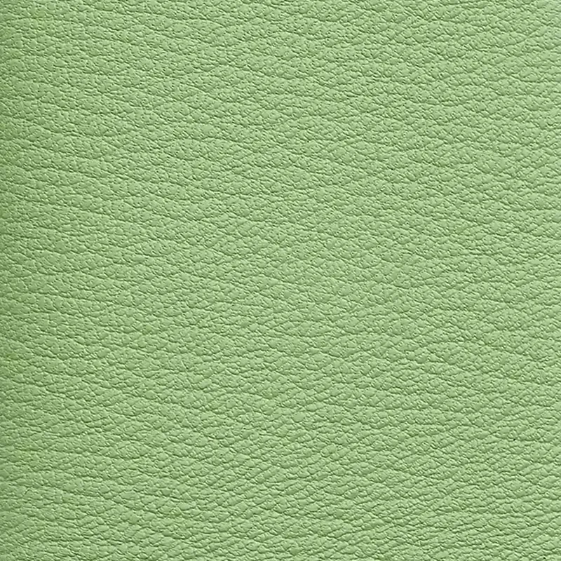 HERMES Calvi Duo Mysore Goat Skin Card Holder Mini Women's 3I Vert Criquet Avocado Green With Cricket Green-2