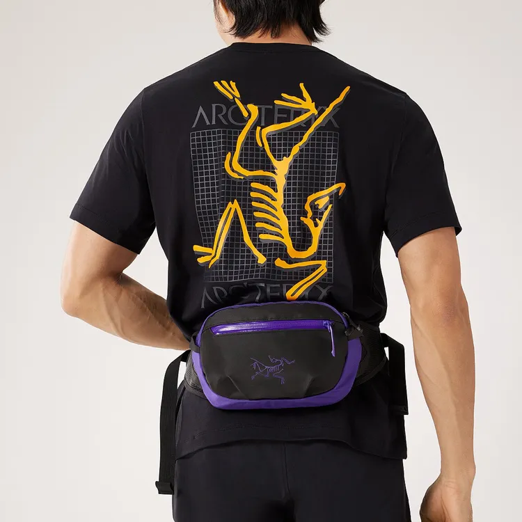Arcteryx ARRO Nylon Fanny Pack Regular Men's Silver Dream Purple-2