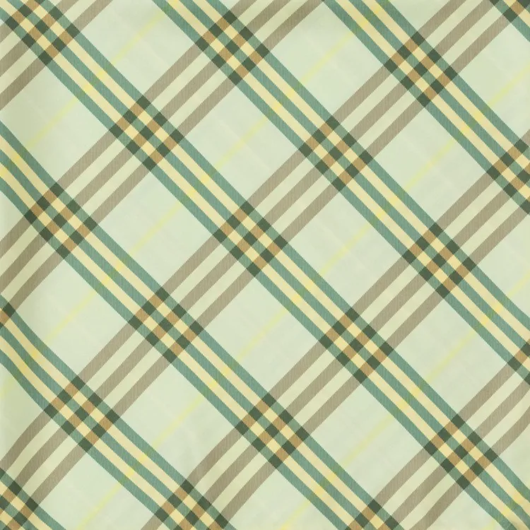 Burberry Silk Silk Scarves Unisex Green-1