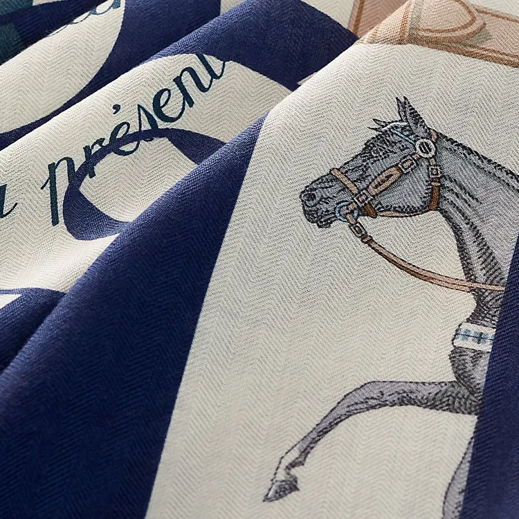HERMES Cashmere, Silk Shawls Women's Blue-1