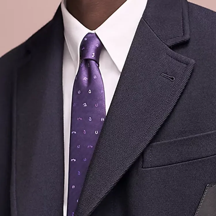 HERMES Silk Silk Ties Men's Purple-2
