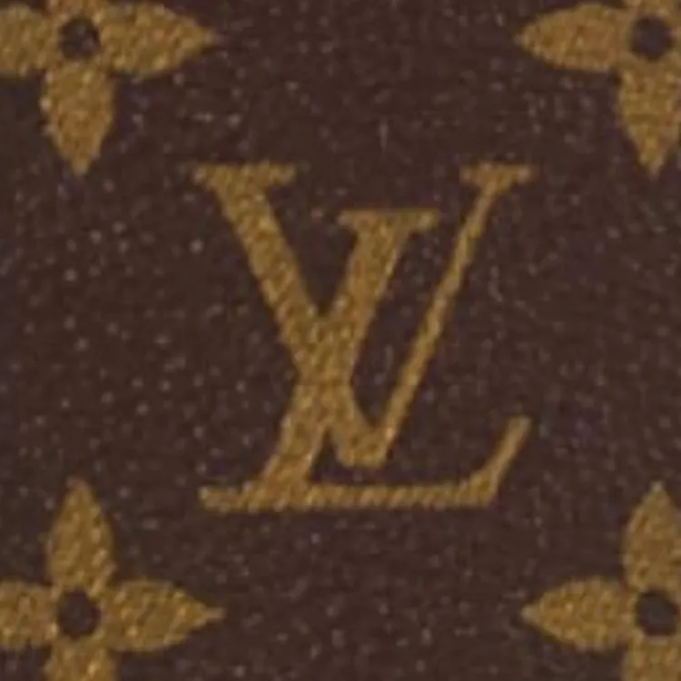 LOUIS VUITTON Coated Canvas Card Holder Men's Safran Yellow-3