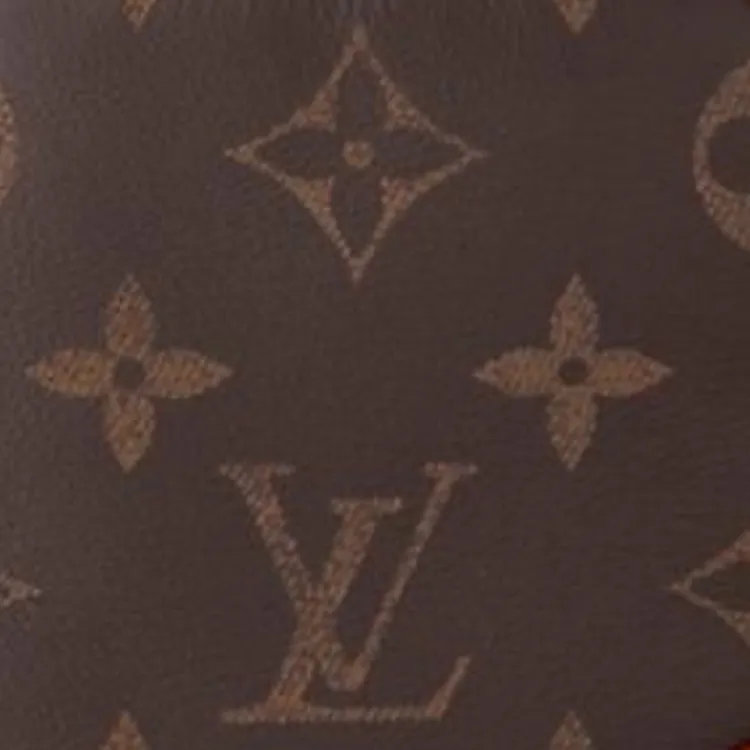 LOUIS VUITTON Amazone Monogram-4