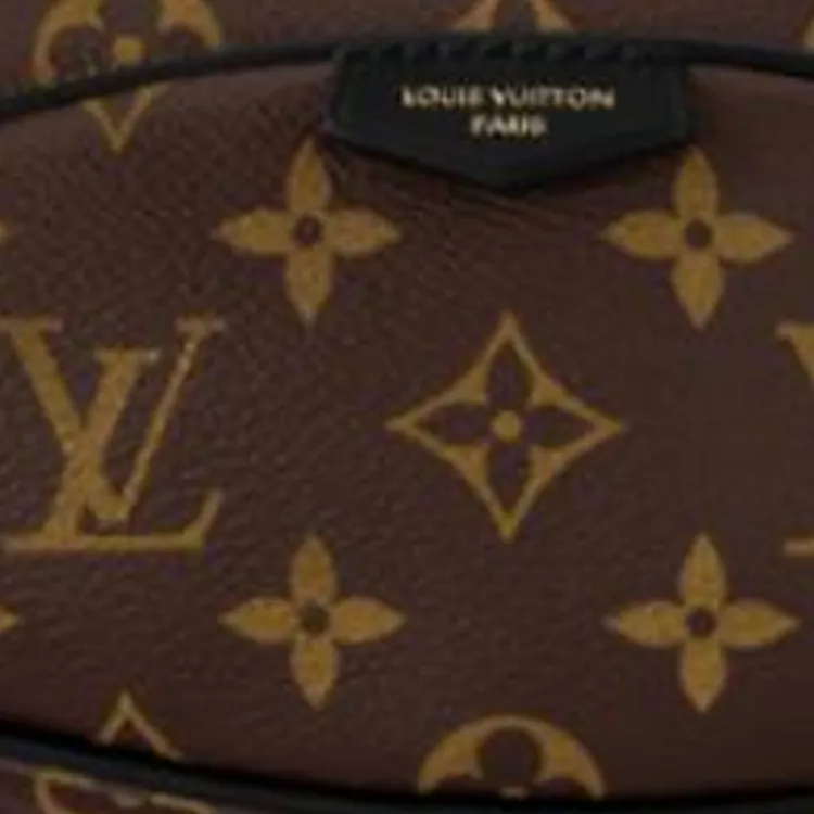 LOUIS VUITTON Coated Canvas Fanny Pack Women's Brown-4