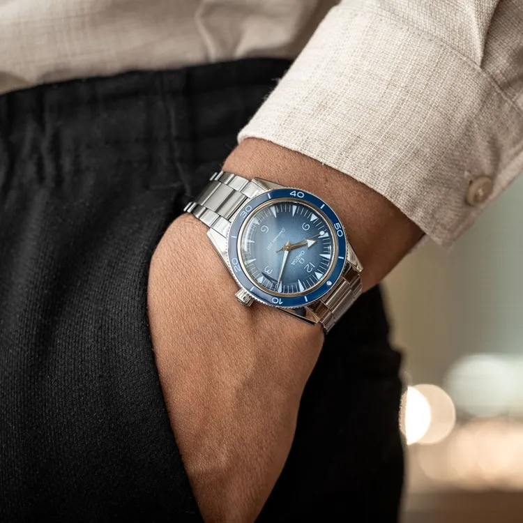 OMEGA Men Seahorse Collection Watch-5