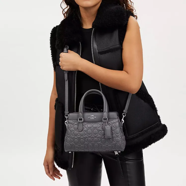 COACH Darcie Leather Handbag, Shoulder Bag Women's Gray-4