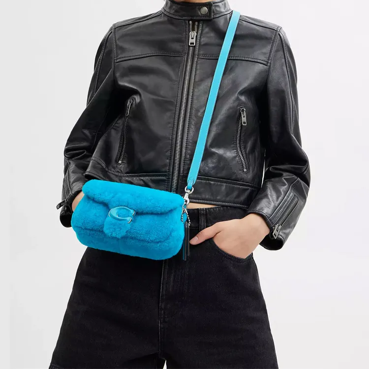COACH LIL NAS Collaboration Tabby Shearling God Of Wine Bag, Handbag, Shoulder Bag Trumpets Women's Montro Blue-4