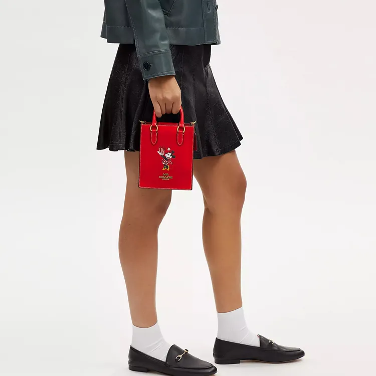 Disney X COACH N/S Handbags-4