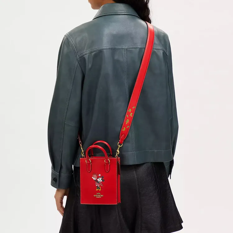 Disney X COACH N/S Handbags-3