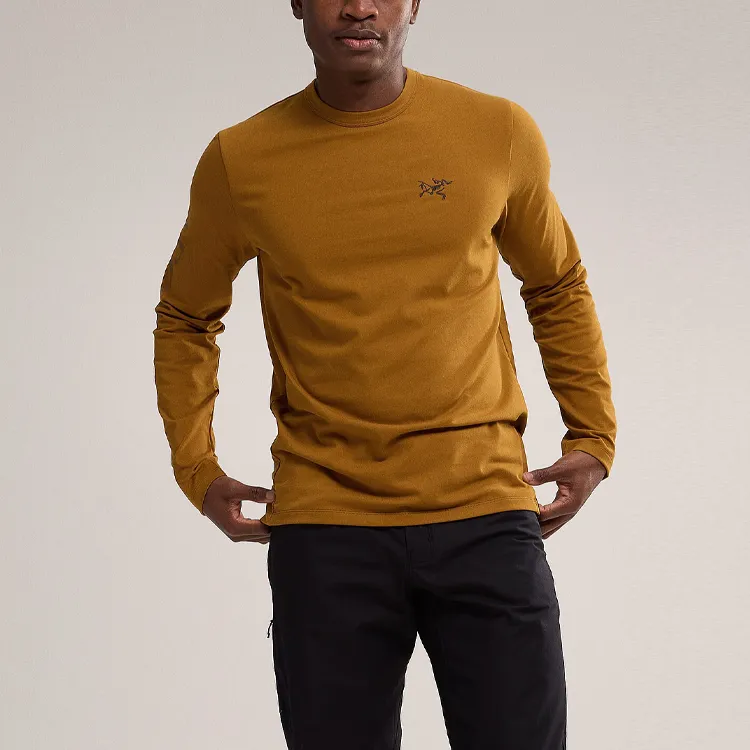 Arc'teryx Captive Arc'word Ls T Shirt-1