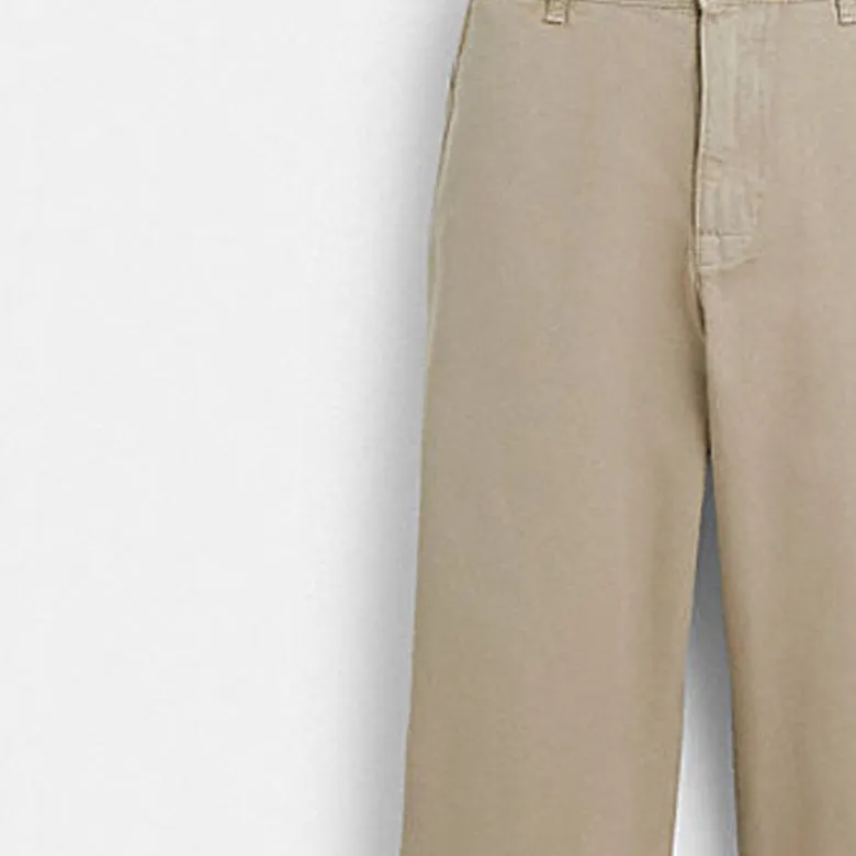 COACH Casual Pants Men's Stone Color-2