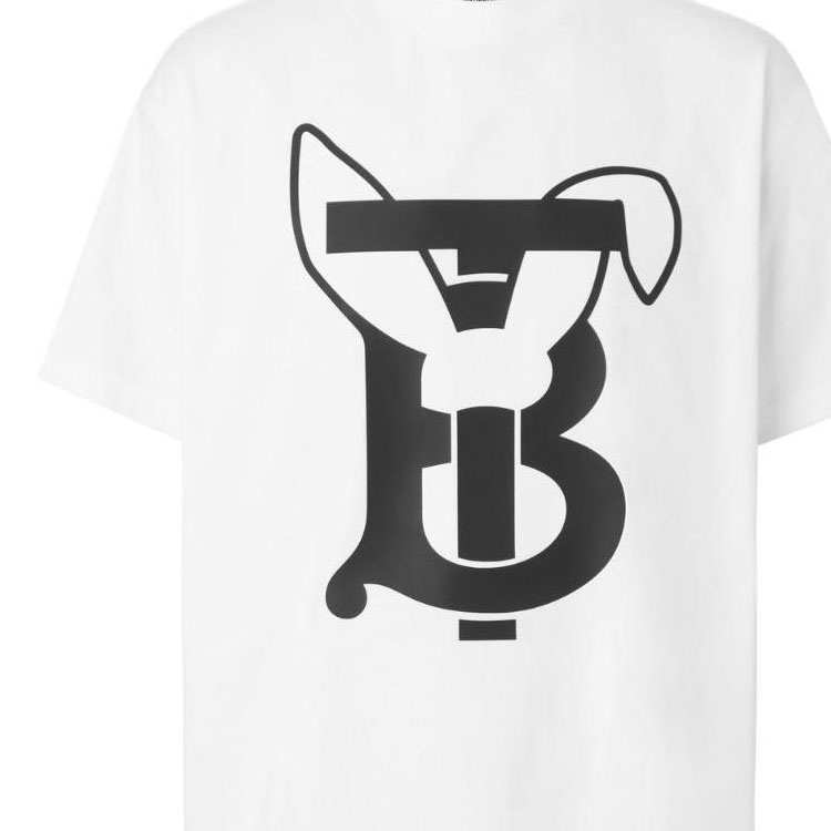 BURBERRY Womens Oak Leaf Crest T-Shirt, Xs, White at Amazon