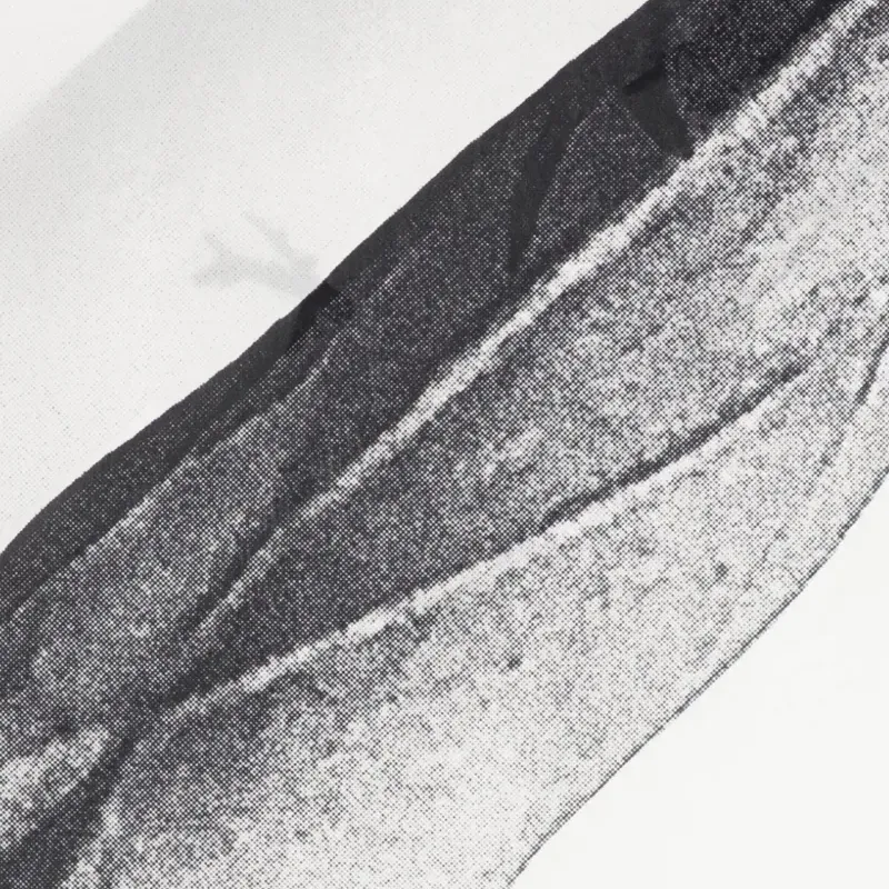 RICK OWENS/RO Silk Scarves Men's White-1