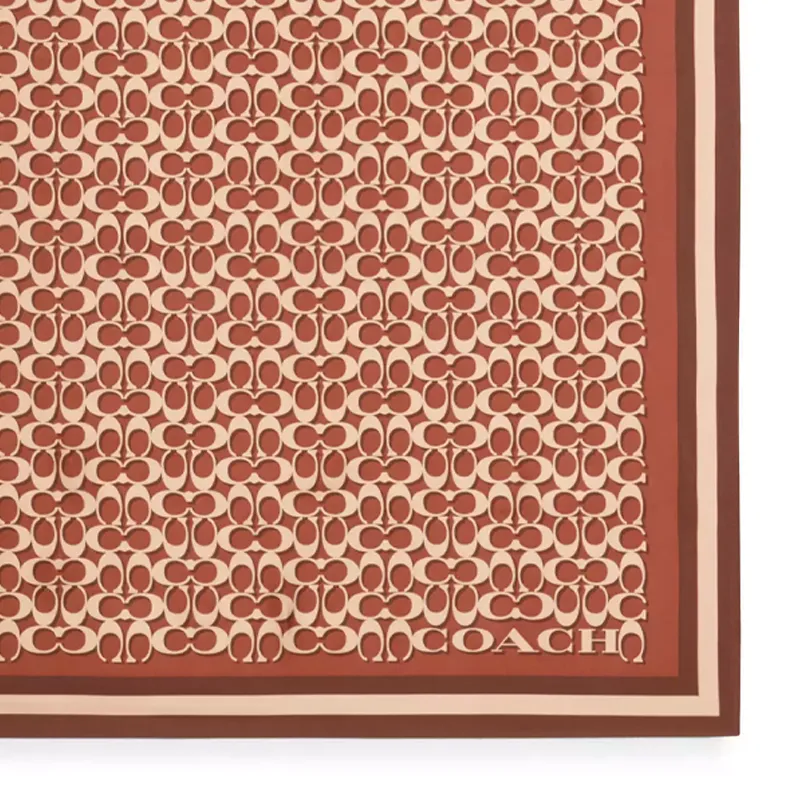 COACH Silk Scarves Women's Brown-1
