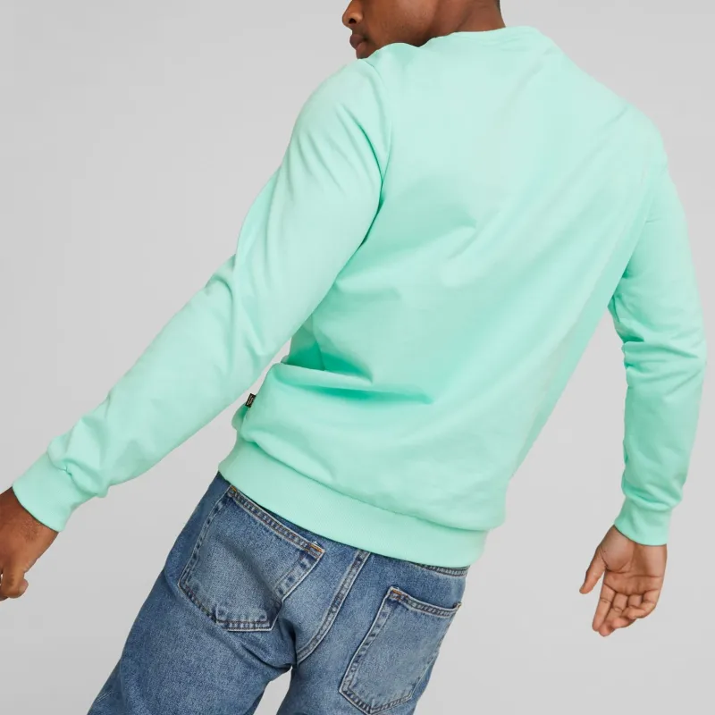 PUMA Summer Splash Crew Neck Men's Sweatshirt Sweatshirt Men's Mint-3