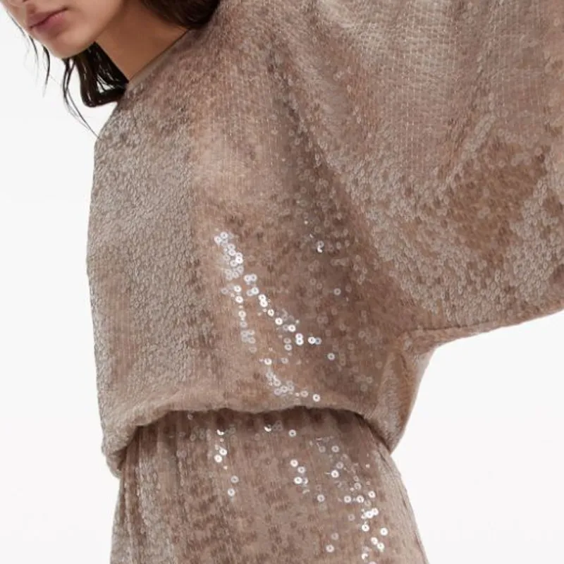 Brunello Cucinelli Sequinned Silk Maxi Dress-5