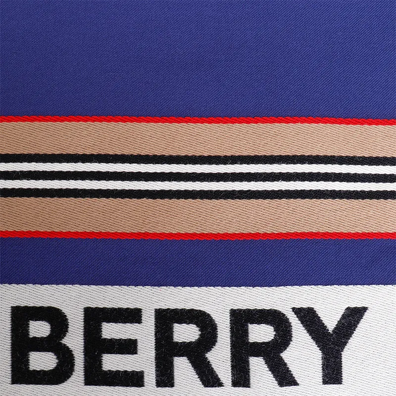 Burberry Knit Scarves Men's Blue-2