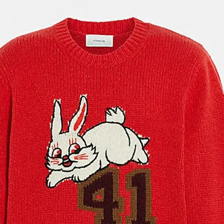 COACH x WHITE RABBIT Sweater Men's Red-2