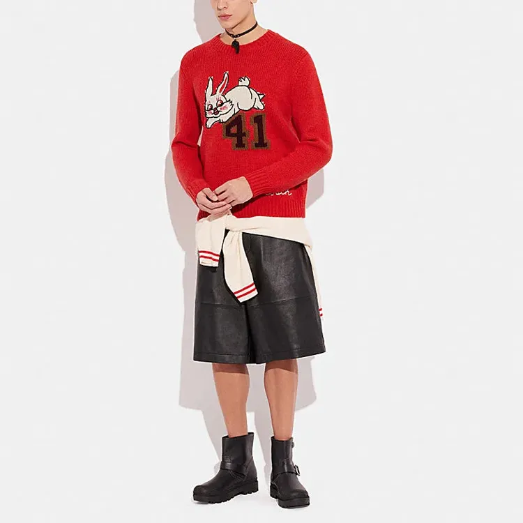 COACH x WHITE RABBIT Sweater Men's Red-1