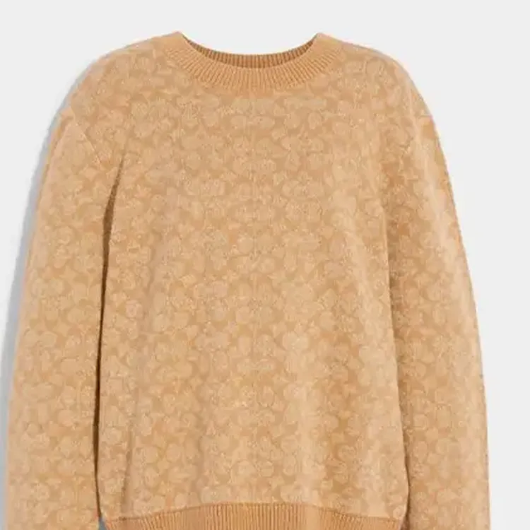 COACH Sweaters Men Camel-5