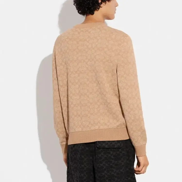 COACH Sweaters Men Camel-2