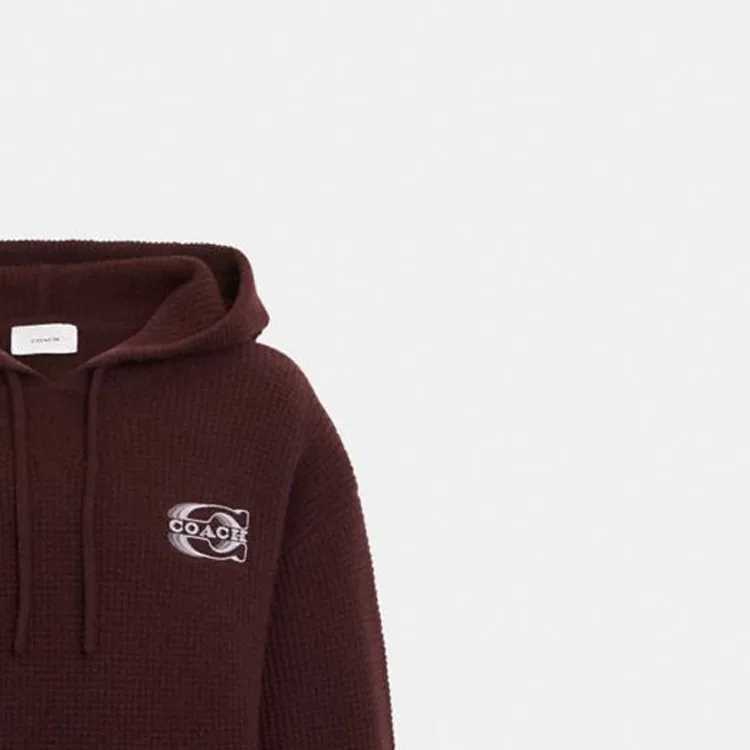 COACH FW23 Sweatshirt Men's Russet-3