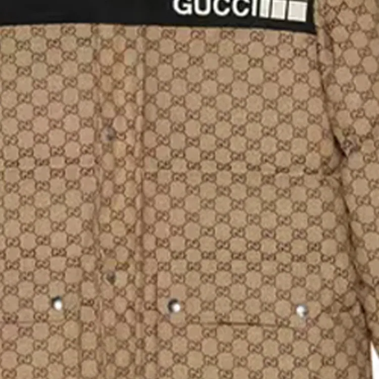 GUCCI X The North Face Women'ss Gg Padded Jacket-6