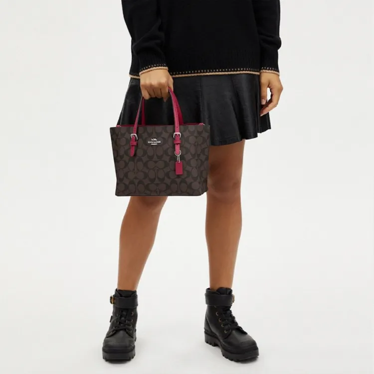 COACH Mollie Handbags-3
