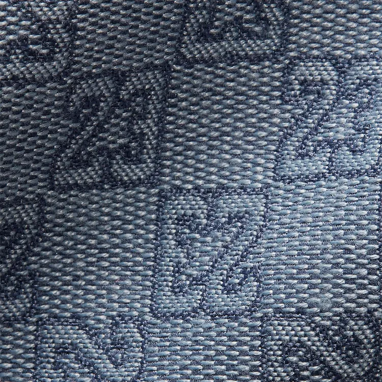 Air Jordan bottom 5 Bluebird Close-Up