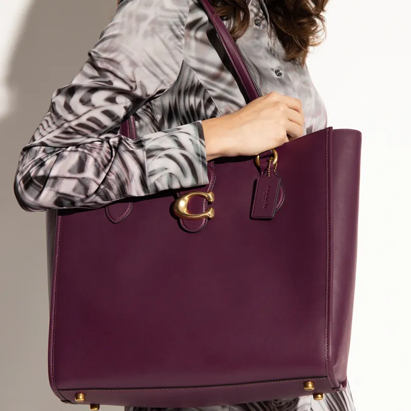 COACH Theo Tote Shoulder Bags-4