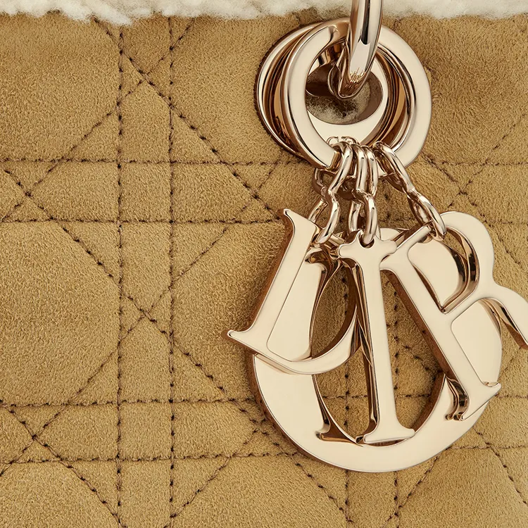DIOR Lady DIOR Handbags-3