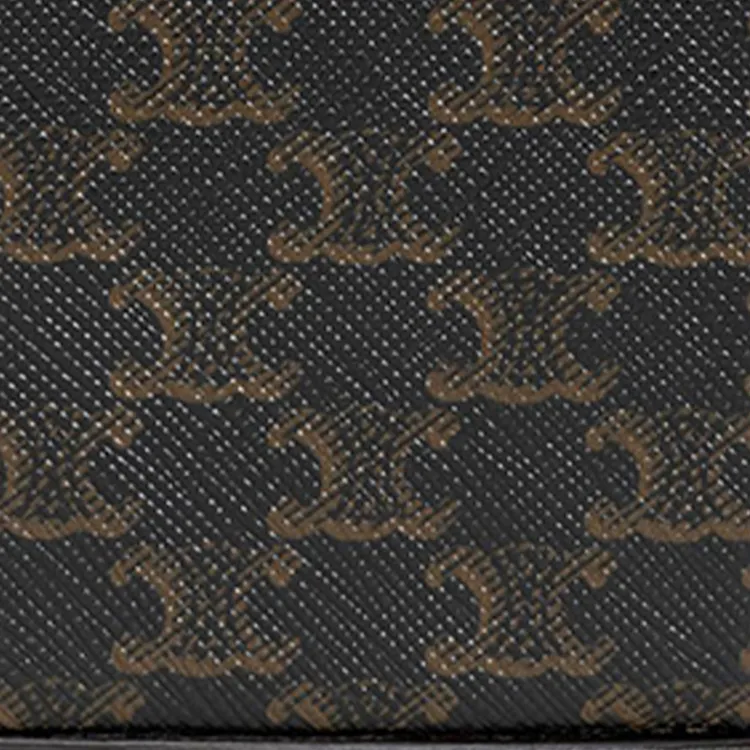 CELINE Triomphe Canvas With Calfskin Town Box Bag Accessory Women's Brown-3