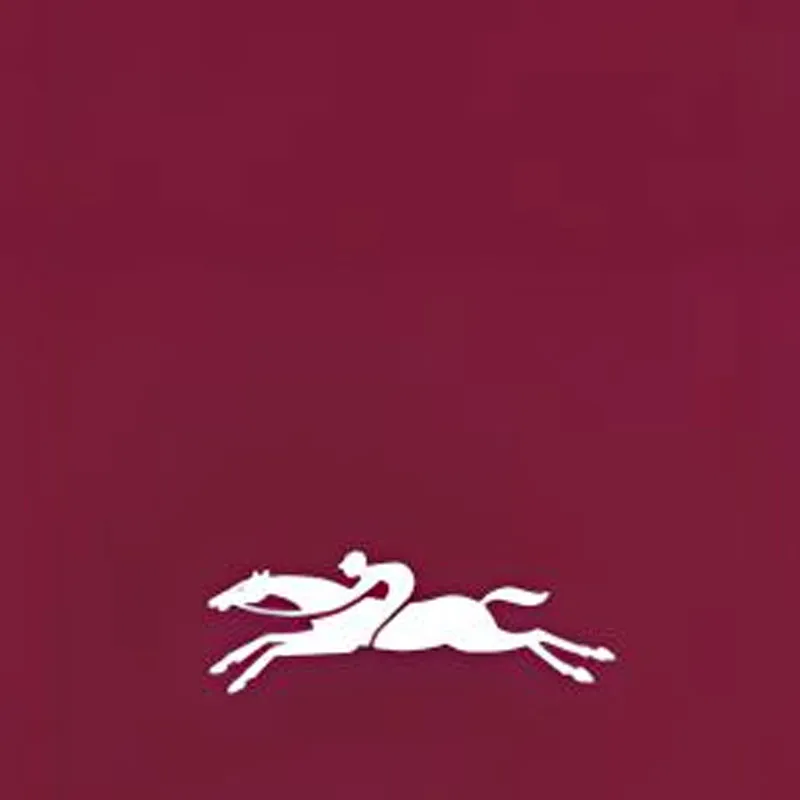 LONGCHAMP Le Pliage Collection Cow Leather Trim Handbags Clutches Women's Burgundy Color-4