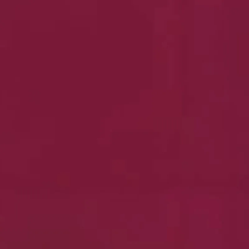 LONGCHAMP Le Pliage Collection Cow Leather Trim Handbags Clutches Women's Burgundy Color-3