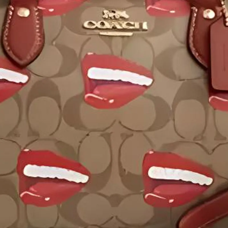 COACH Rowan Handbags-3