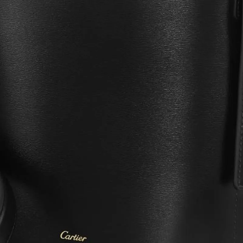 CARTIER Cow Leather Shoulder Bag Mini Unisex Black-2