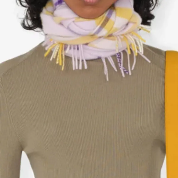 Burberry Checked Fringed Edge Scarf-2
